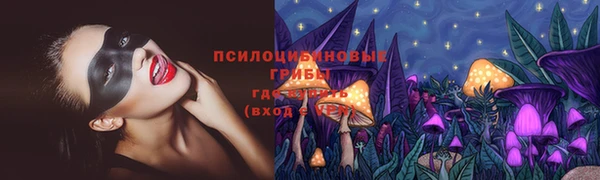 гидропоника Гусь-Хрустальный