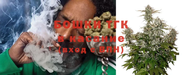 амф Щигры