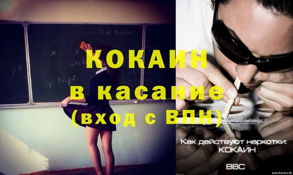 амф Щигры