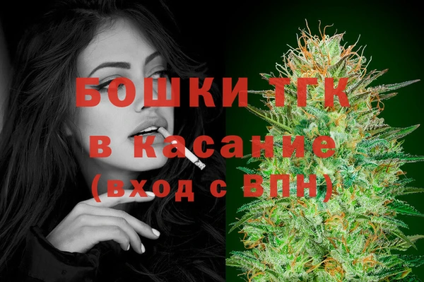 ПСИЛОЦИБИНОВЫЕ ГРИБЫ Гусиноозёрск