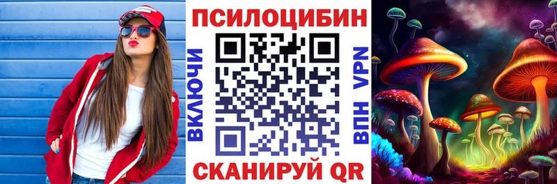 ссылка на мегу рабочий сайт  Няндома  Галлюциногенные грибы прущие грибы  купить закладку 